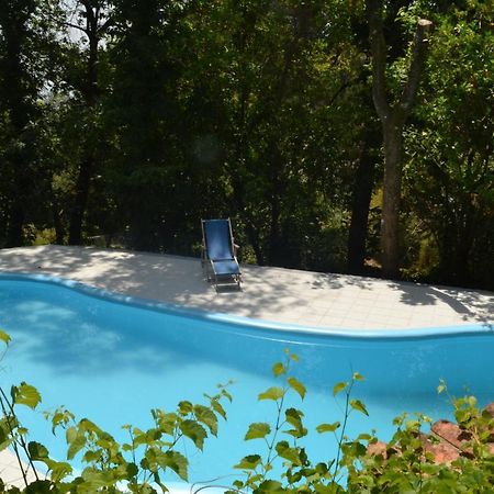 Pico Quinta Abelhaヴィラ エクステリア 写真