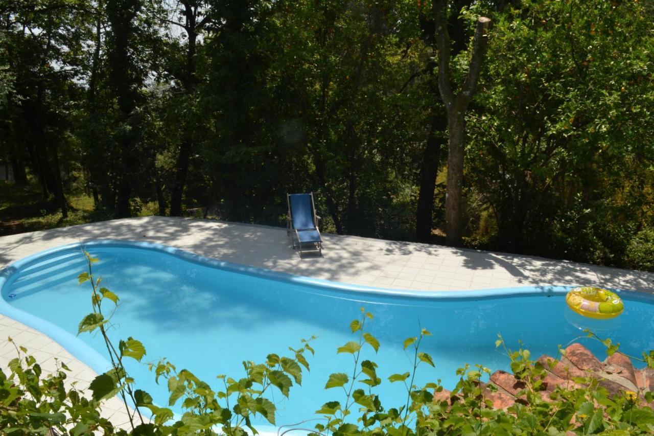 Pico Quinta Abelhaヴィラ エクステリア 写真