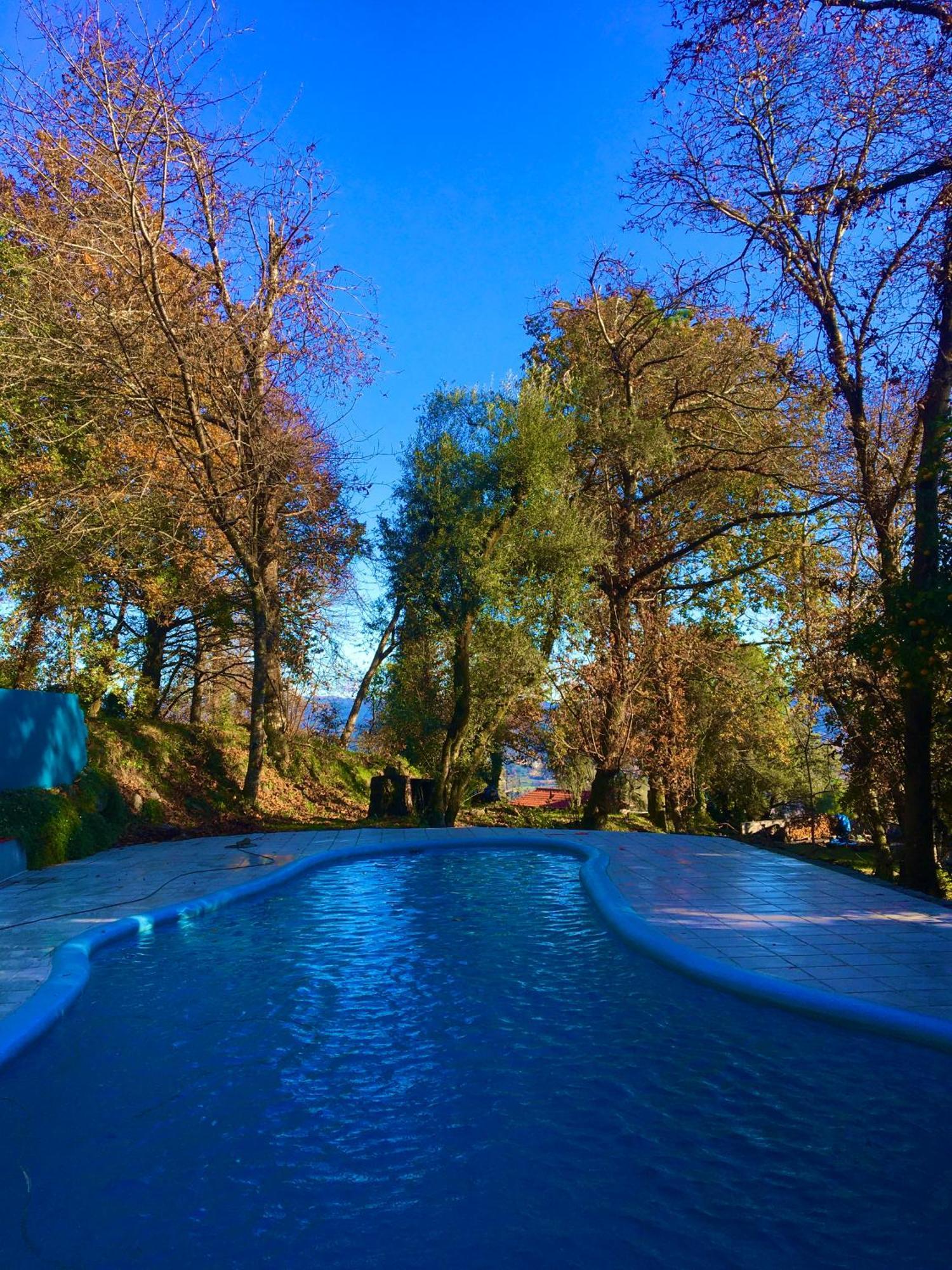 Pico Quinta Abelhaヴィラ エクステリア 写真