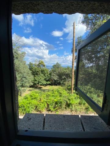 Pico Quinta Abelhaヴィラ エクステリア 写真
