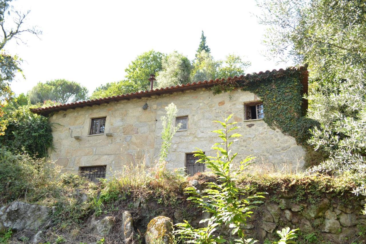 Pico Quinta Abelhaヴィラ エクステリア 写真